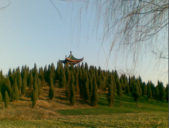 RȪϹŶ